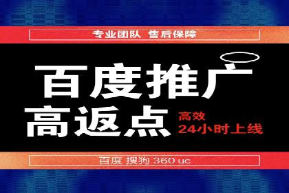 百度竞价推广案例：行业领军者成长故事